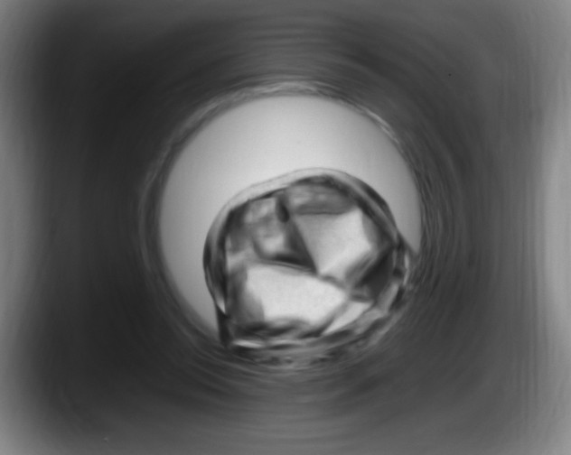 X0000087620350200705252007