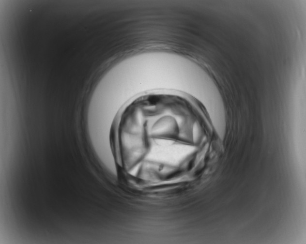 X0000087620352200705252007