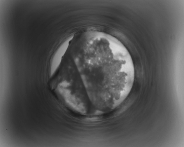 X0000087620357200705252007