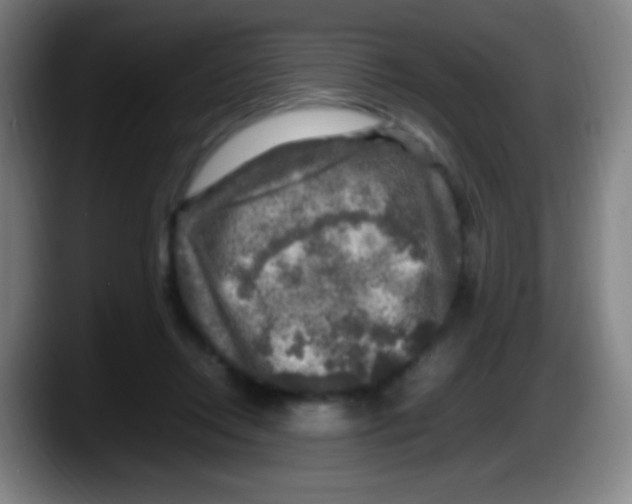 X0000087620358200705252007