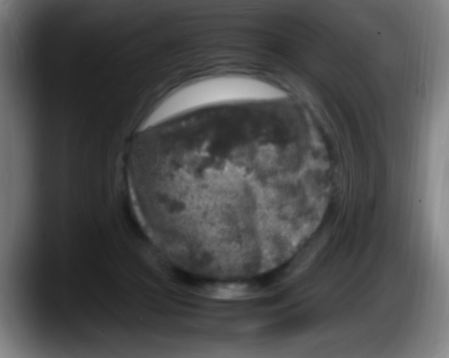 X0000087620361200705252007