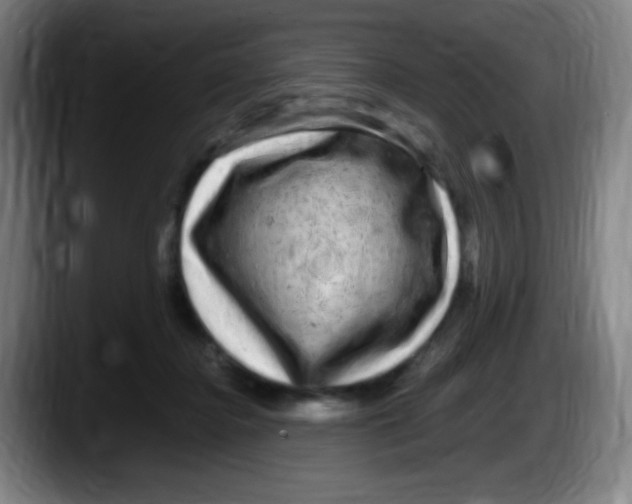 X0000087620364200705252007