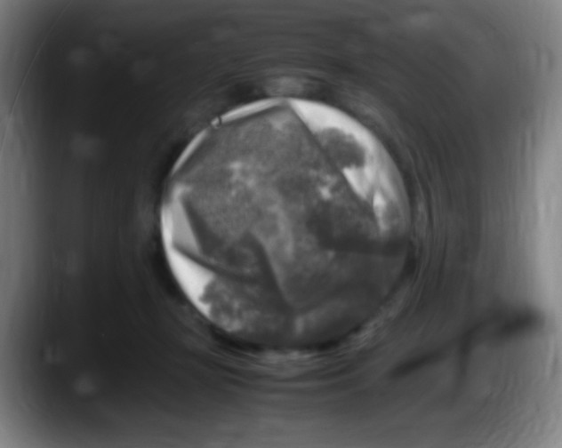 X0000087620367200705252007