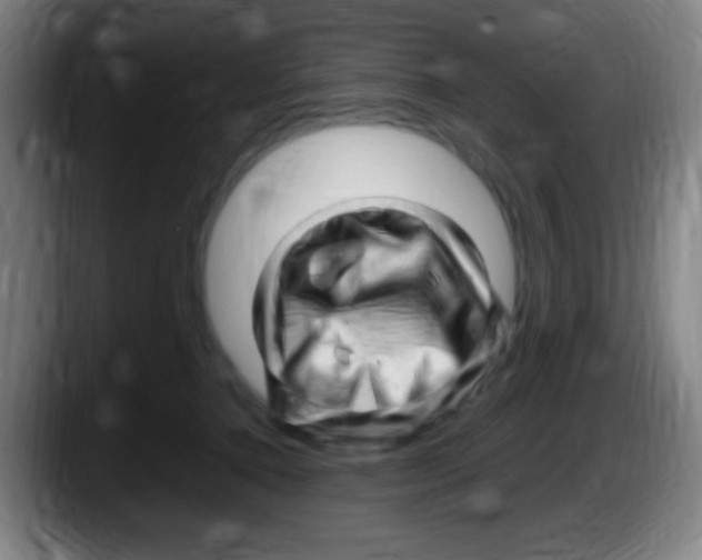 X0000087620368200705252007