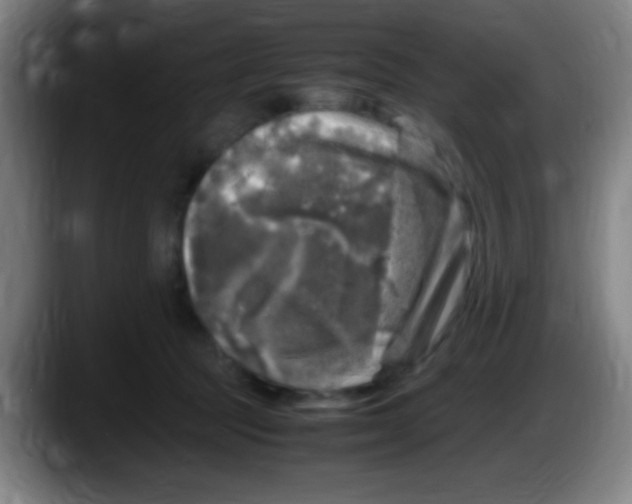 X0000087620369200705252007