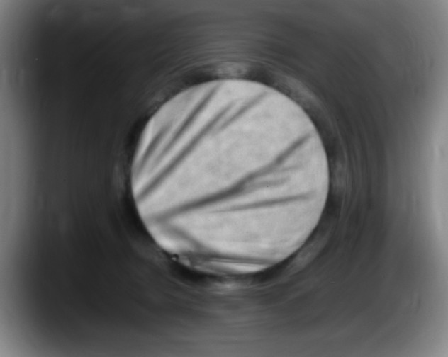 X0000087620370200705252007