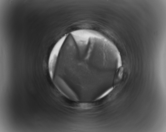 X0000087620371200705252007