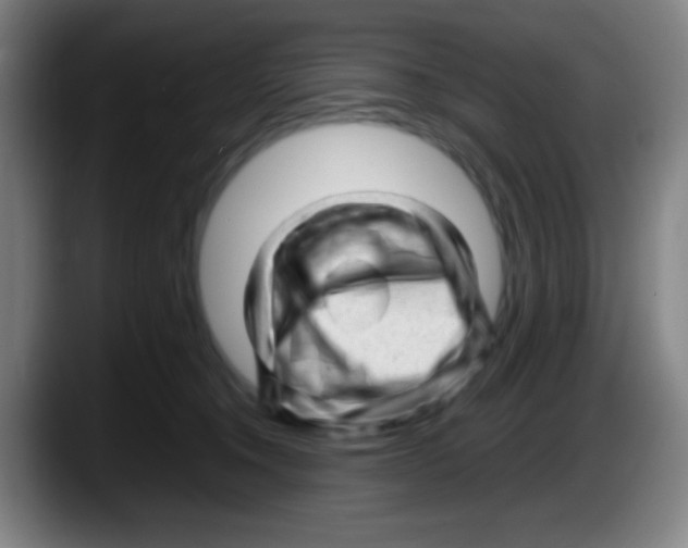 X0000087620372200705252007