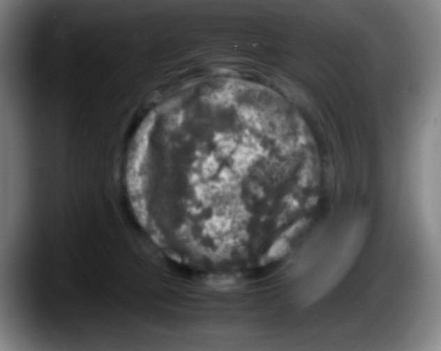X0000087620373200705252007