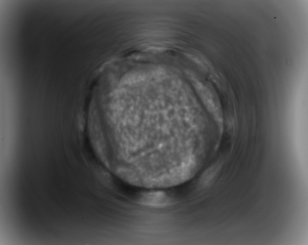 X0000087620374200705252007