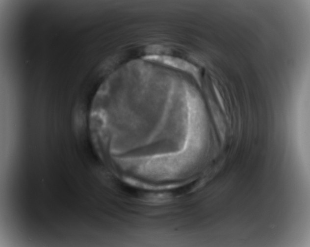 X0000087620375200705252007