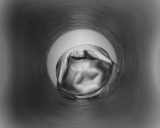 X0000087620376200705252007