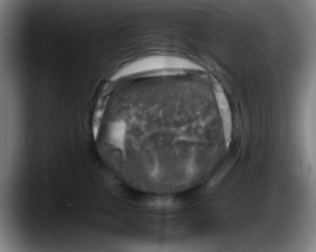 X0000087620377200705252007