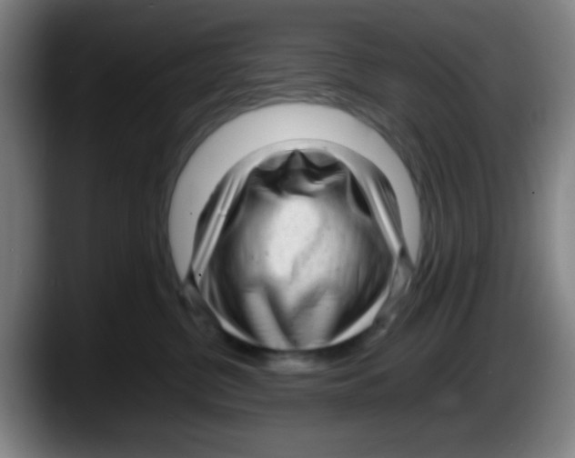 X0000087620380200705252007