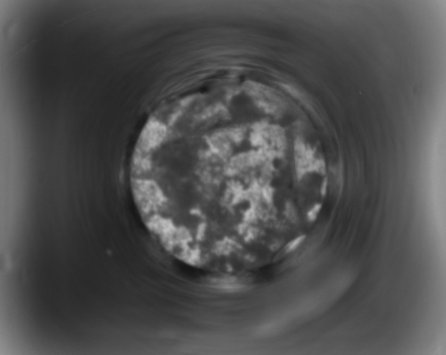 X0000087620381200705252007