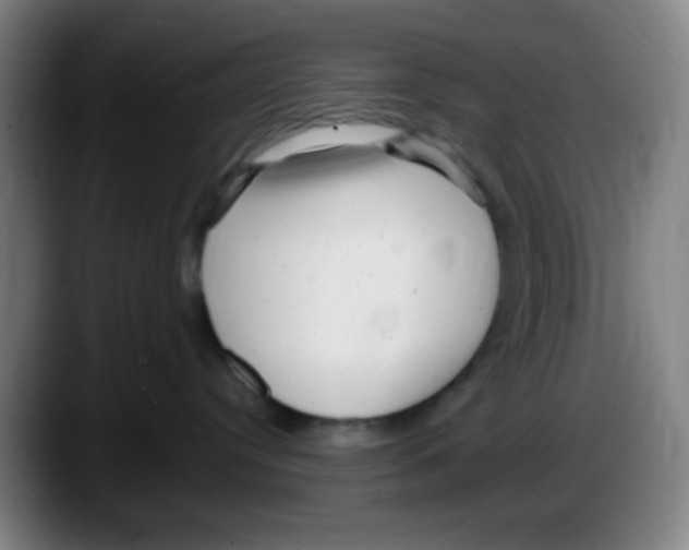X0000087620384200705252007