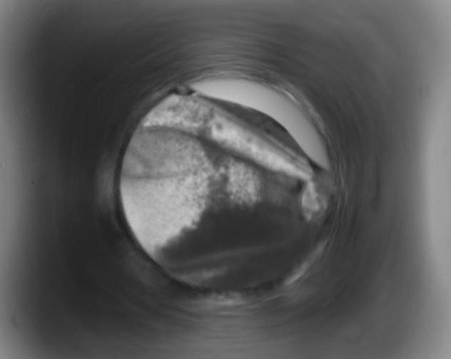 X0000087620386200705252007