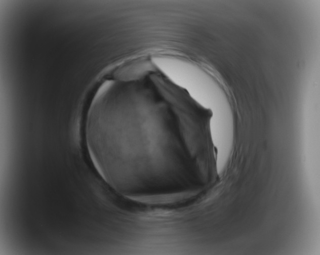X0000087620387200705252007