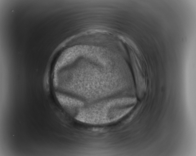 X0000087620388200705252007