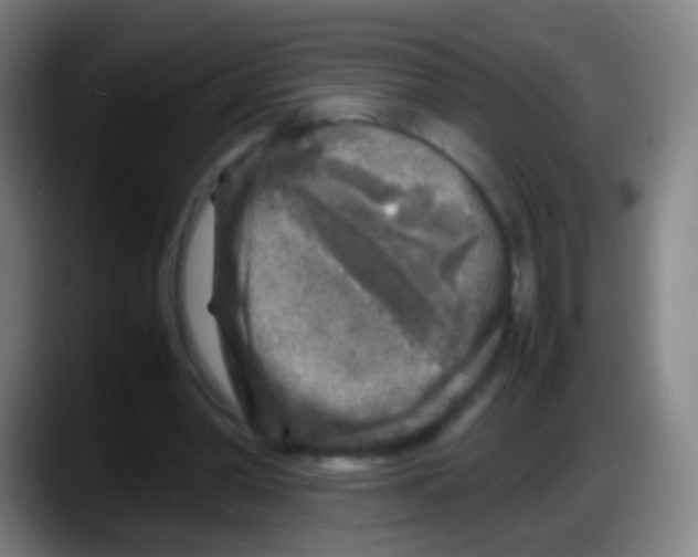 X0000087620390200705252007
