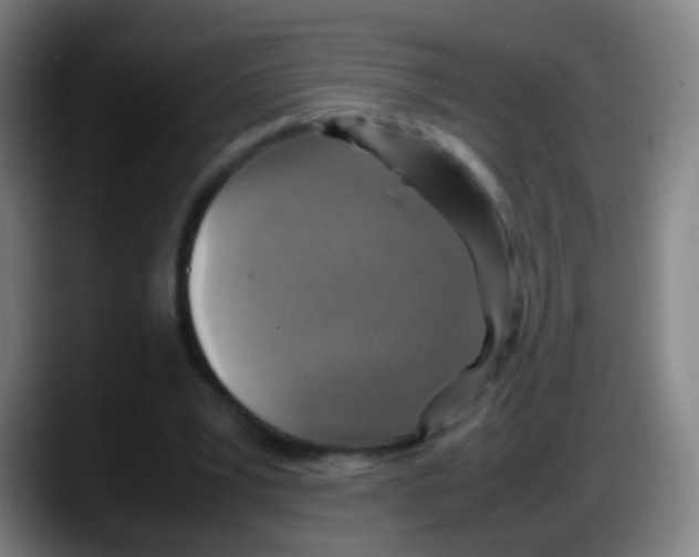 X0000087620391200705252007