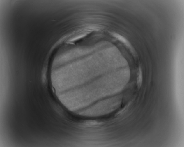 X0000087620392200705252007