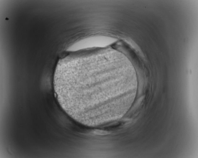 X0000087620393200705252007