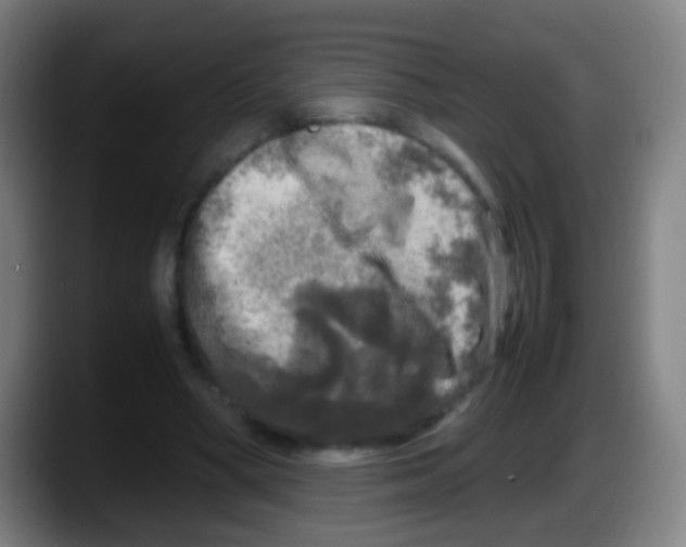 X0000087620394200705252007