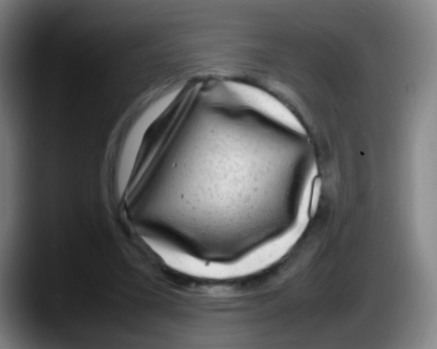 X0000087620395200705252007