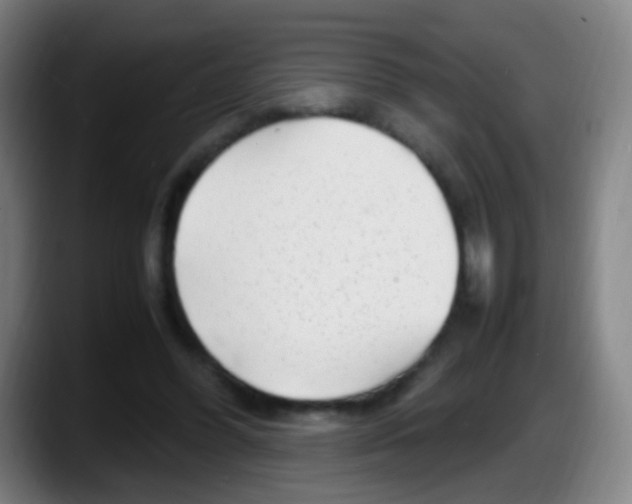 X0000087620396200705252007