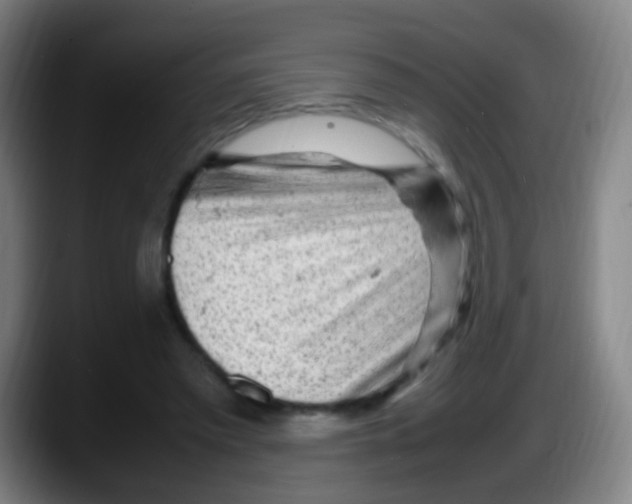 X0000087620397200705252007