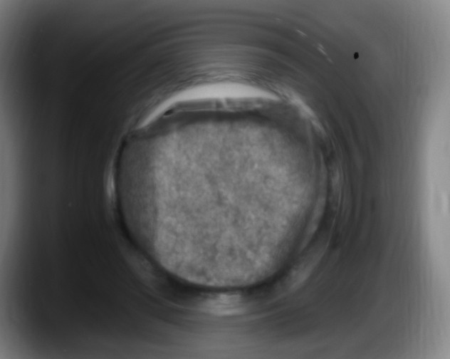 X0000087620398200705252006