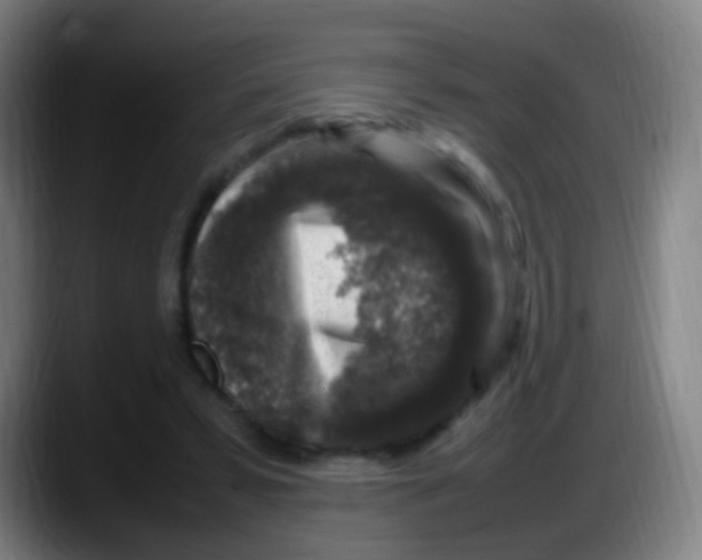 X0000087620399200705252006