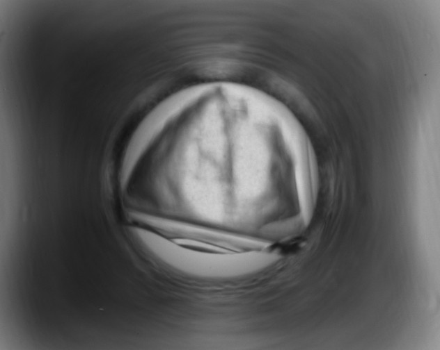 X0000087620400200705252006