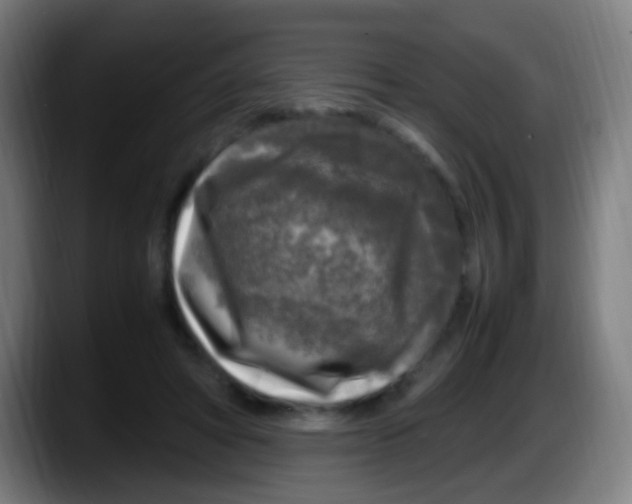 X0000087620402200705252006