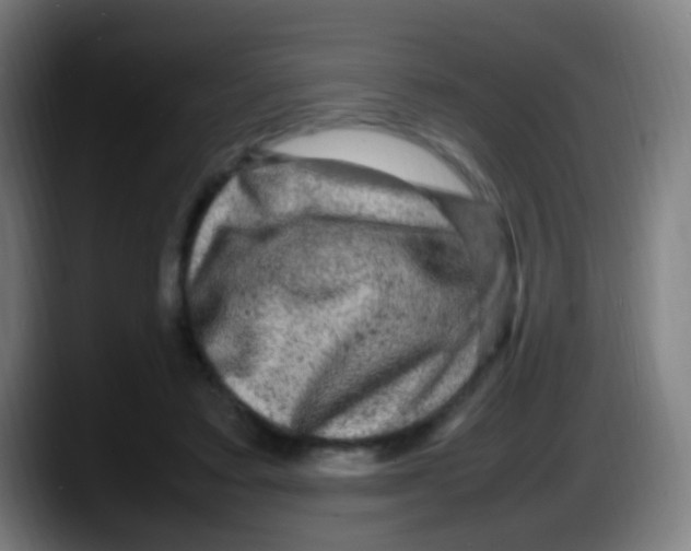 X0000087620403200705252006