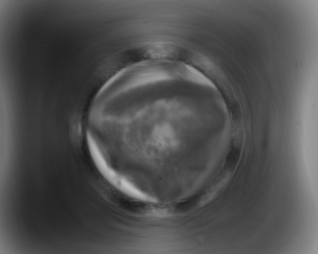 X0000087620405200705252006
