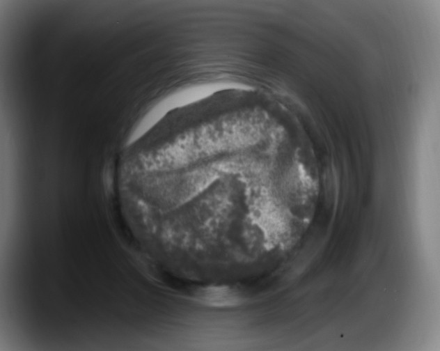 X0000087620406200705252006