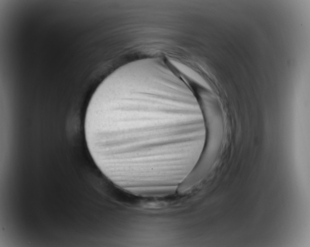X0000087620407200705252006