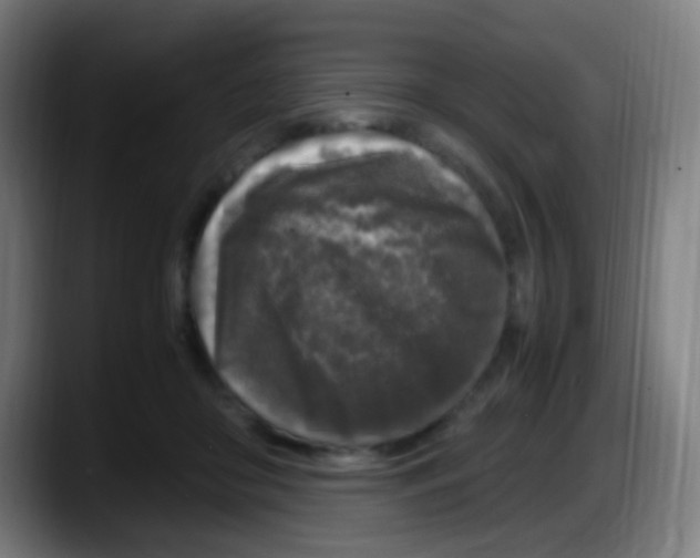 X0000087620410200705252006