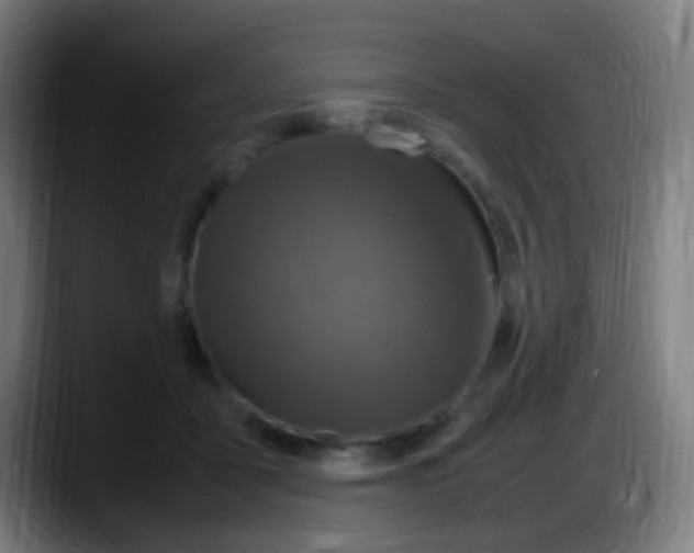 X0000087620411200705252006