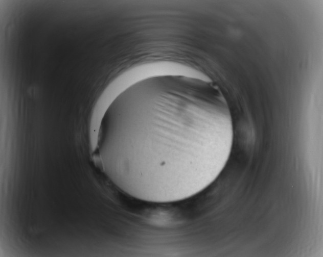 X0000087620412200705252006