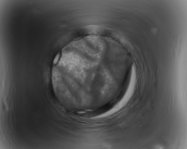 X0000087620413200705252006