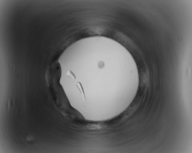 X0000087620414200705252006
