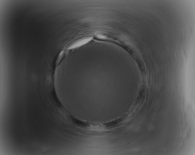 X0000087620415200705252006