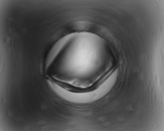 X0000087620416200705252006