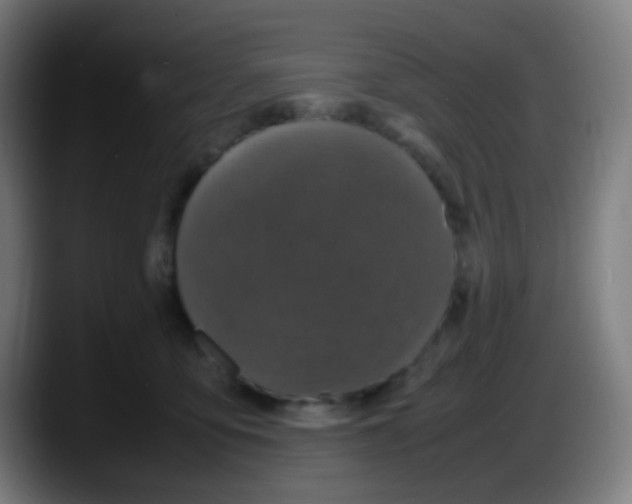 X0000087620419200705252006