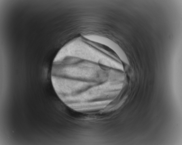 X0000087620420200705252006