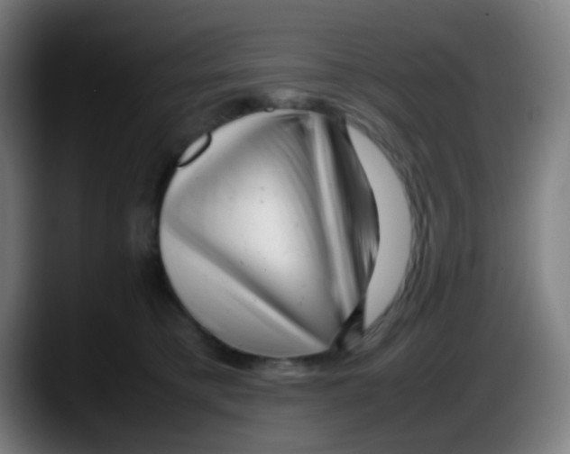 X0000087620421200705252006
