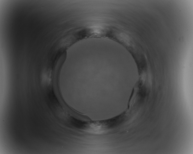 X0000087620423200705252006